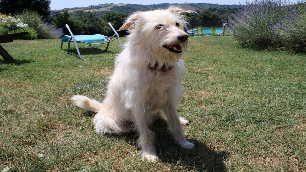 Photo of Outdoor in Pampelonne