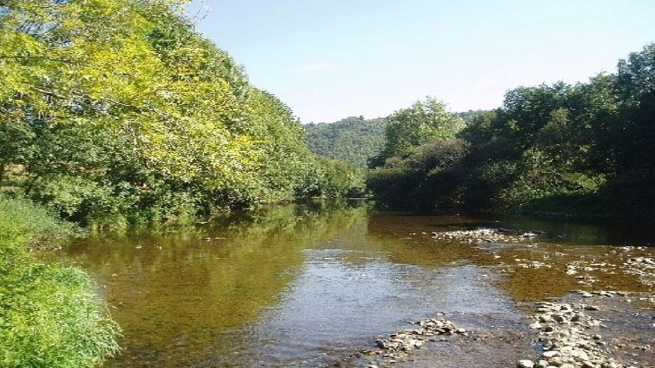 Photo of Outdoor in Pampelonne