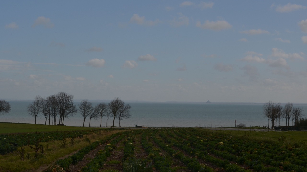 Photo of Others in Cancale