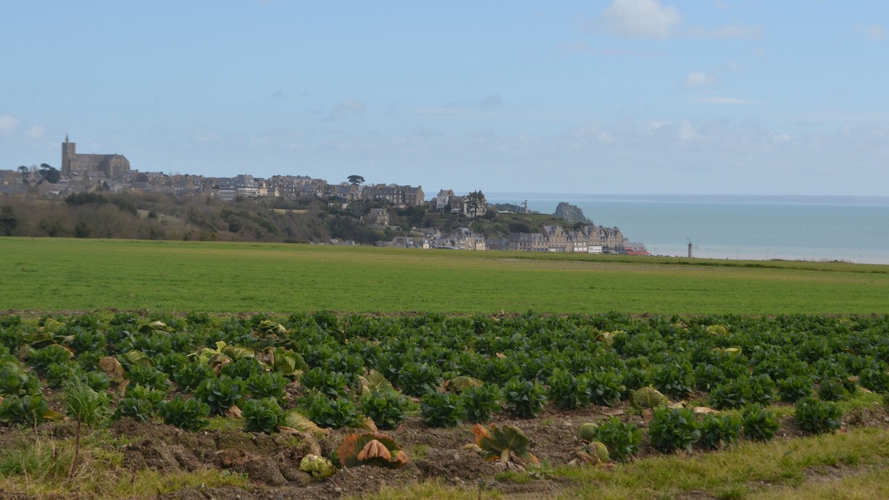 Photo of Outdoor in Cancale