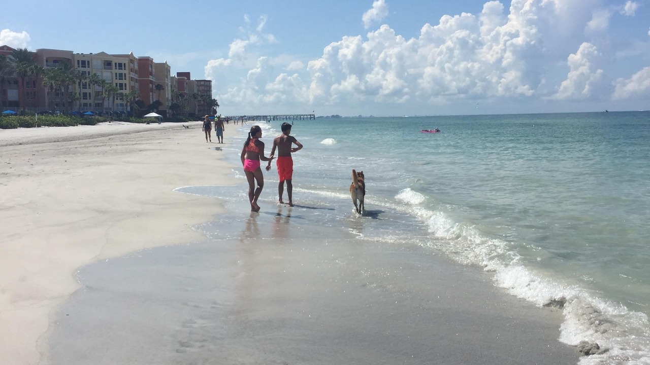 Photo of Others in Redington Beach