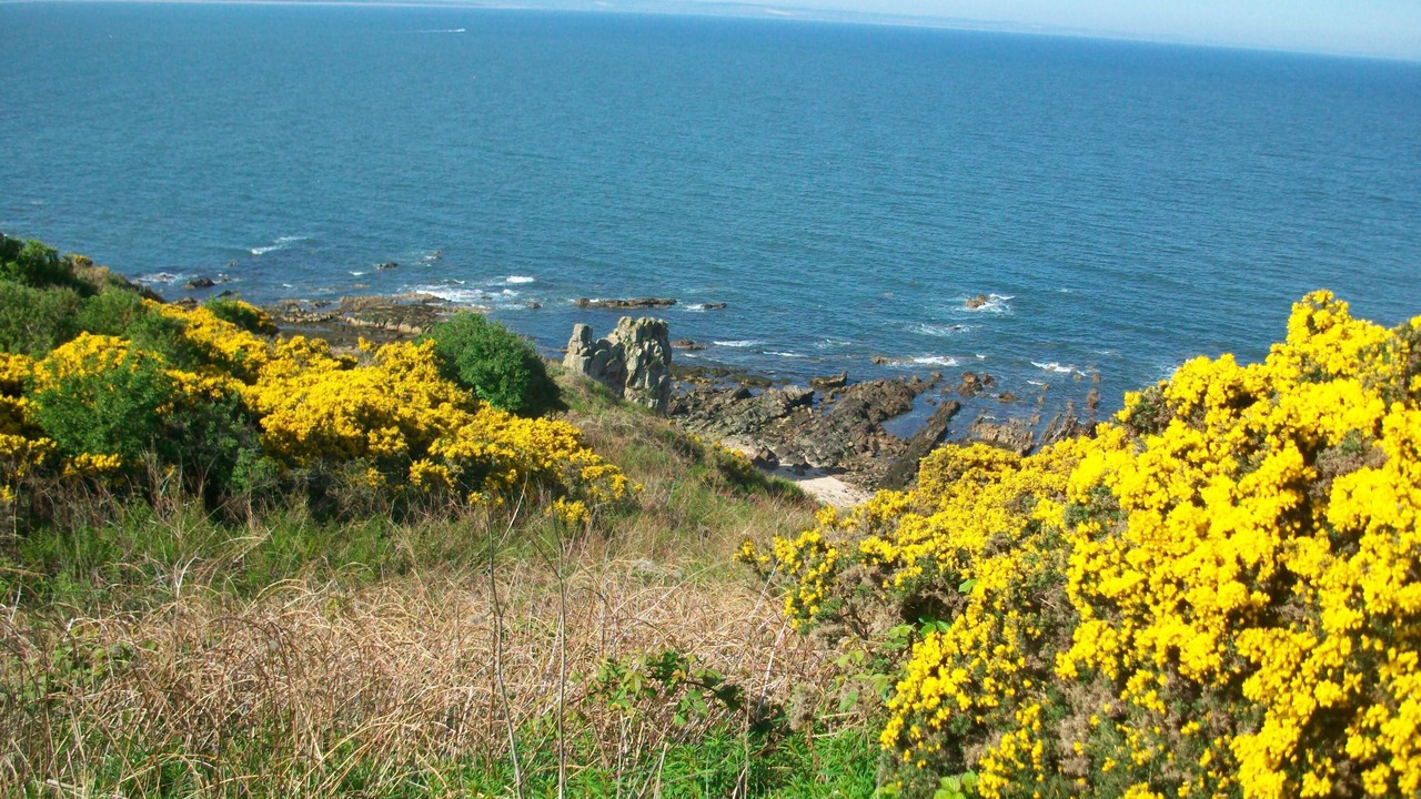 Photo of Others in Dunfermline