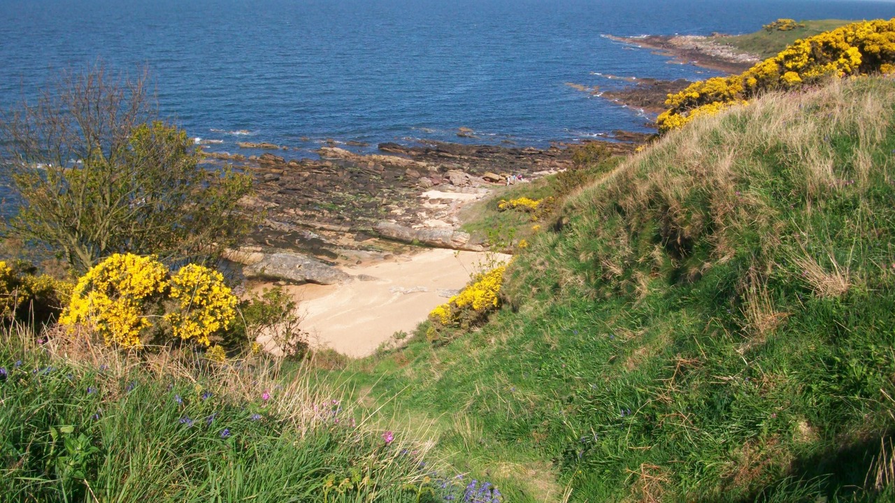 Photo of Others in Dunfermline