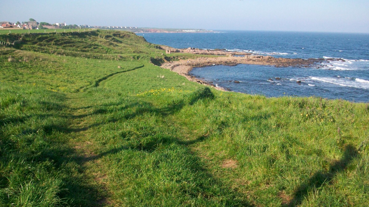 Photo of Others in Dunfermline