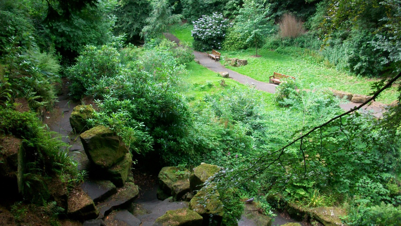 Photo of Others in Dunfermline