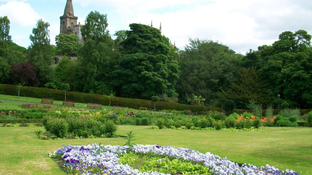 Photo of Others in Dunfermline