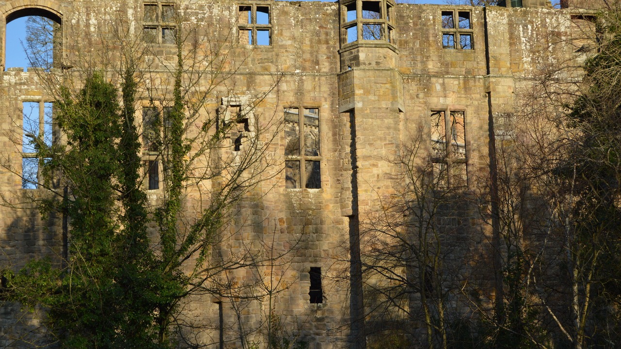 Photo of Others in Dunfermline