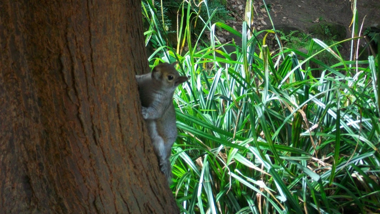 Photo of Others in Dunfermline