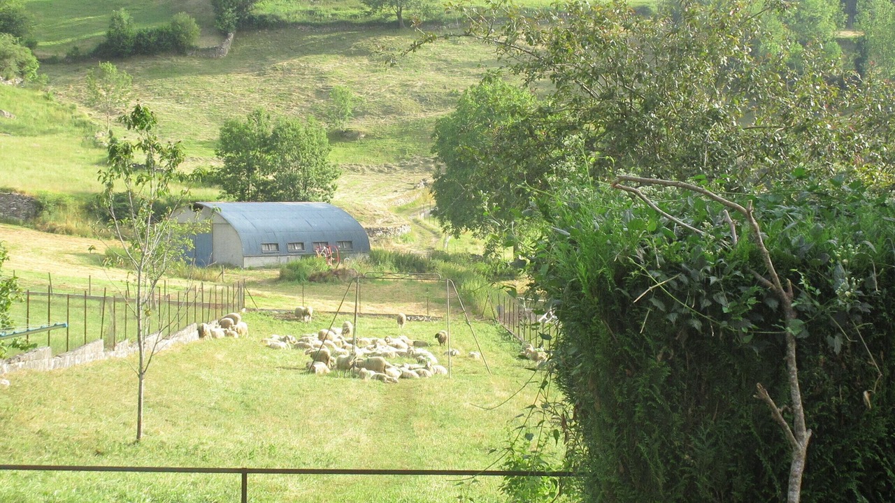 Photo of Outdoor in Laruns