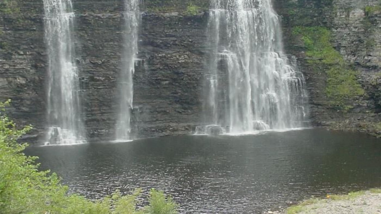 Photo of Others in Pulaski