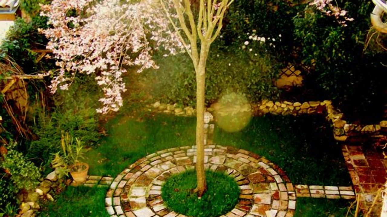 Photo of Outdoor in Lasgraisses