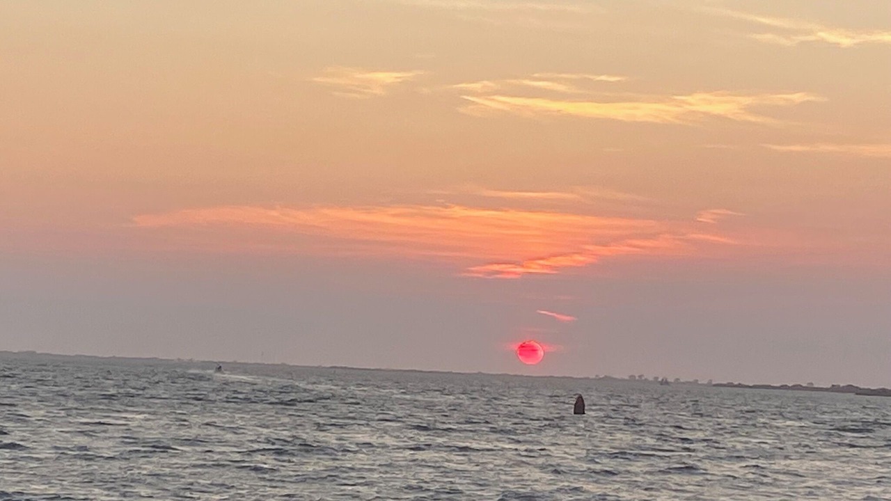 Photo of Others in Ocean Beach