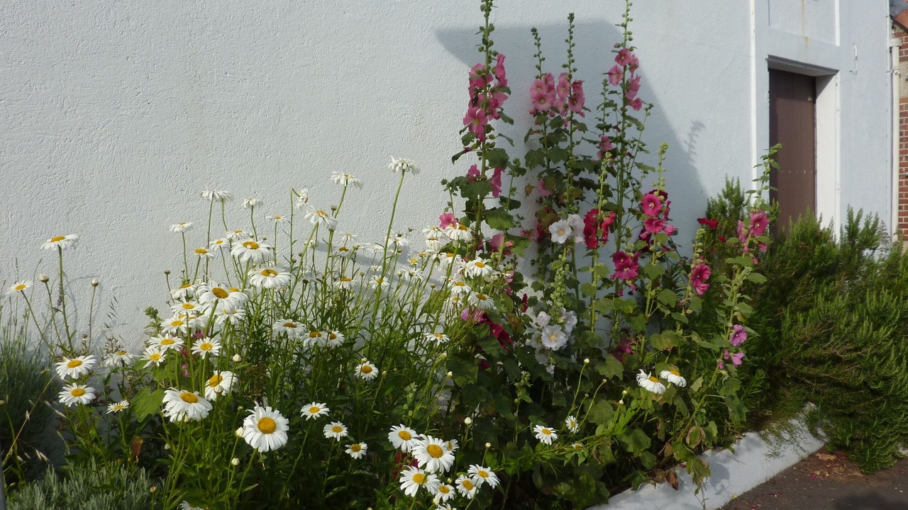 Photo of Outdoor in Le Champ-Saint-Pere