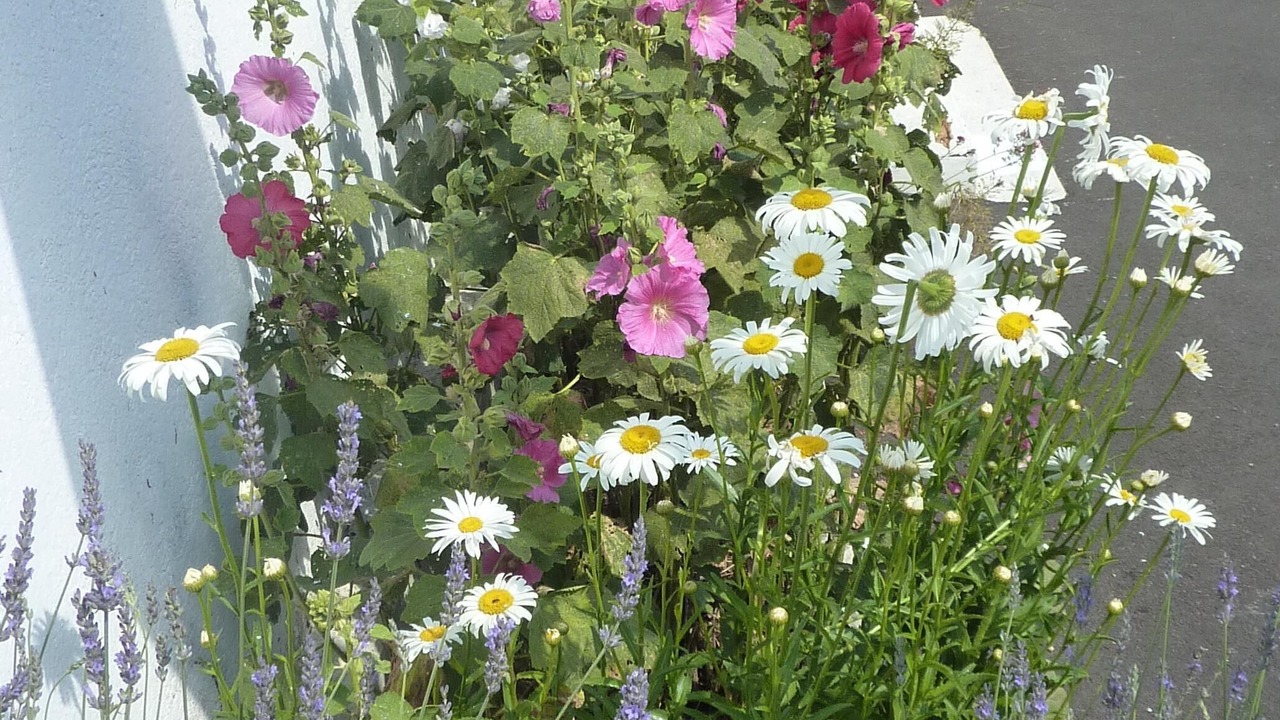 Photo of Outdoor in Le Champ-Saint-Pere