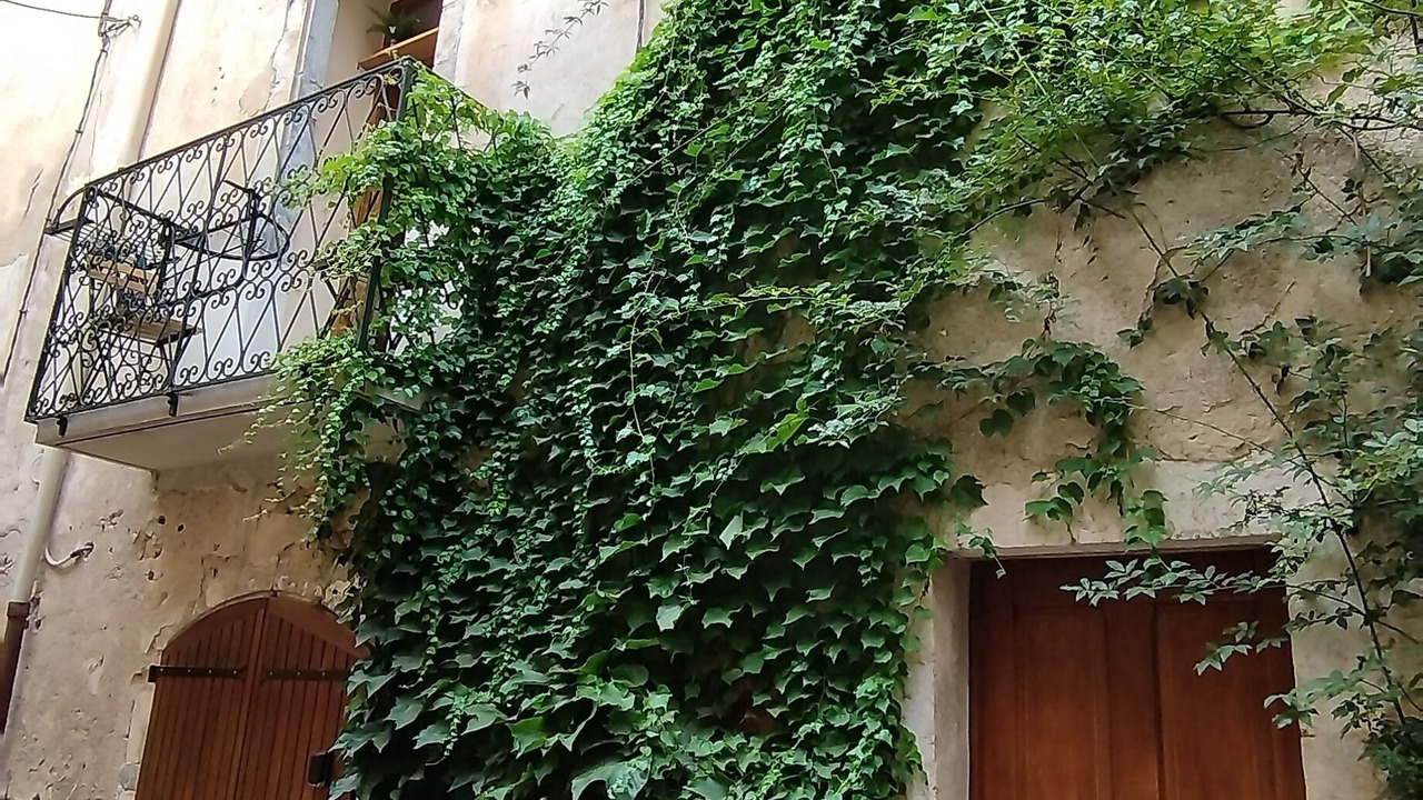 Photo of Outdoor in Saint-Jean-de-Bueges