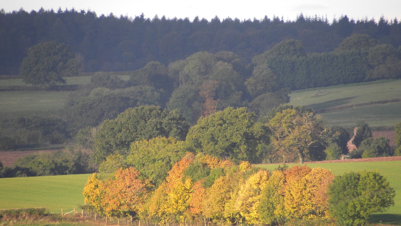 Photo of Outdoor in Awre