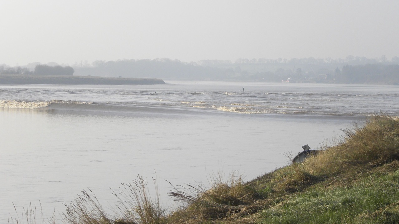 Photo of Others in Awre