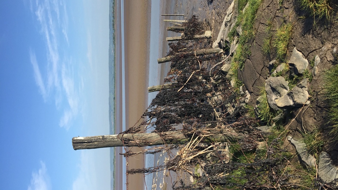 Photo of Others in Awre