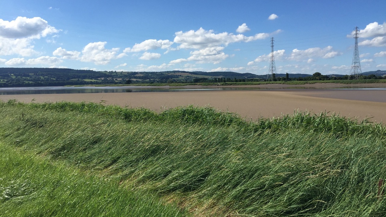 Photo of Others in Awre