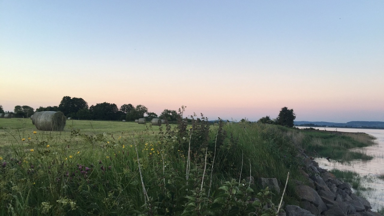 Photo of Others in Awre