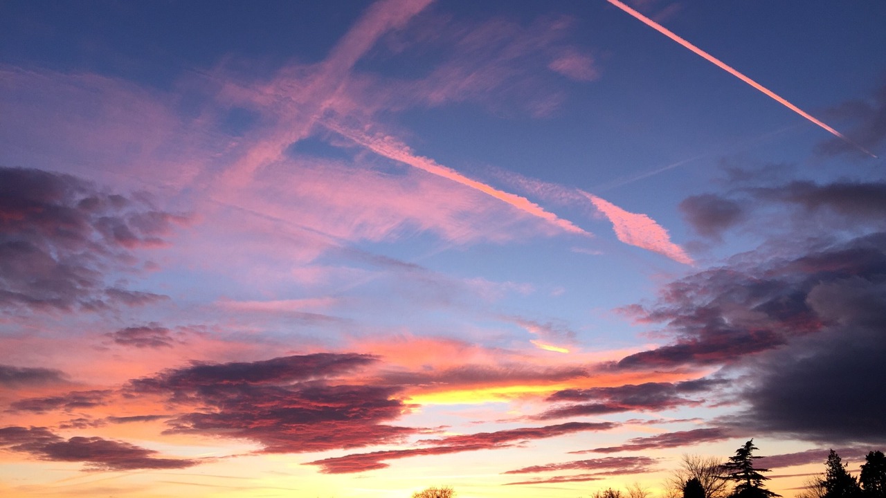 Photo of Others in Awre