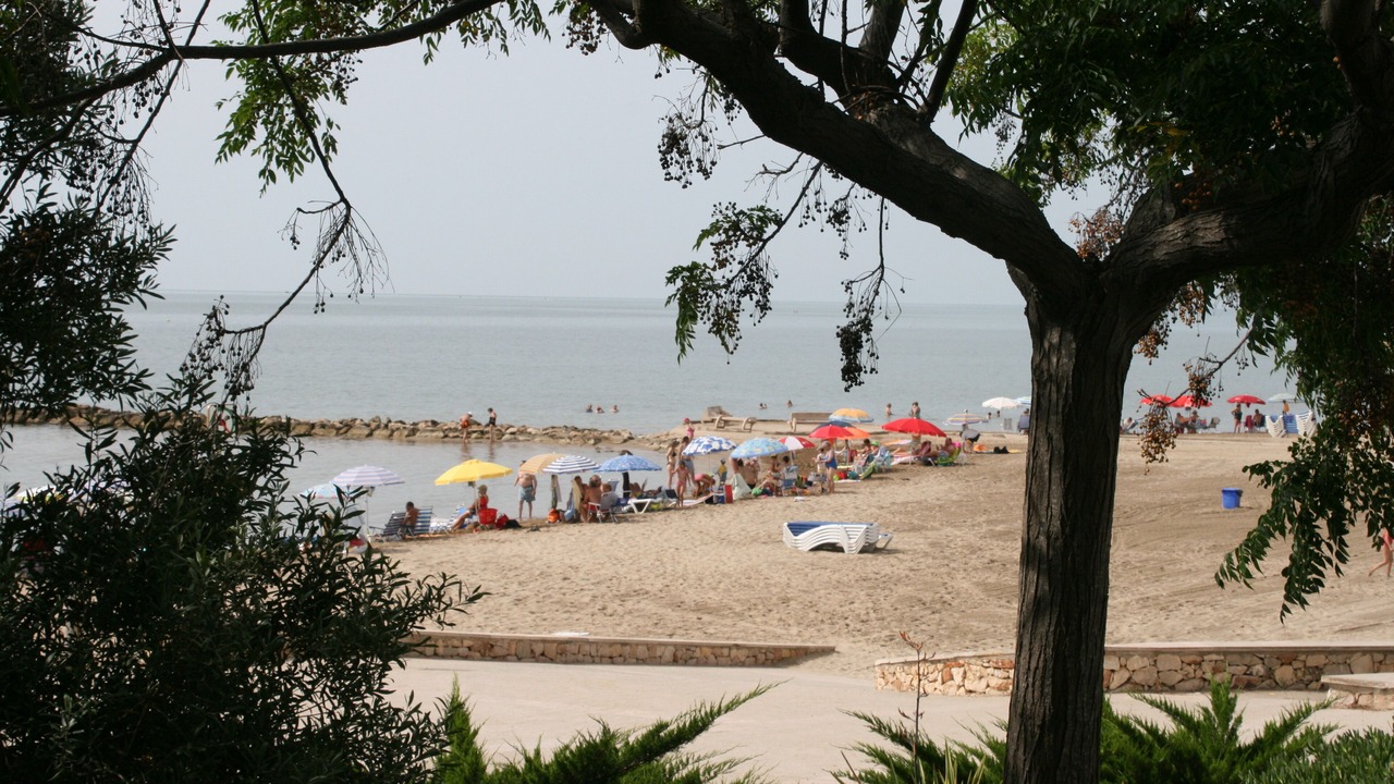 Photo of Others in Sant Carles de la Rapita