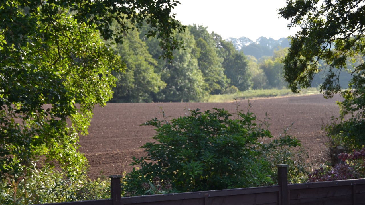 Photo of Others in Kington