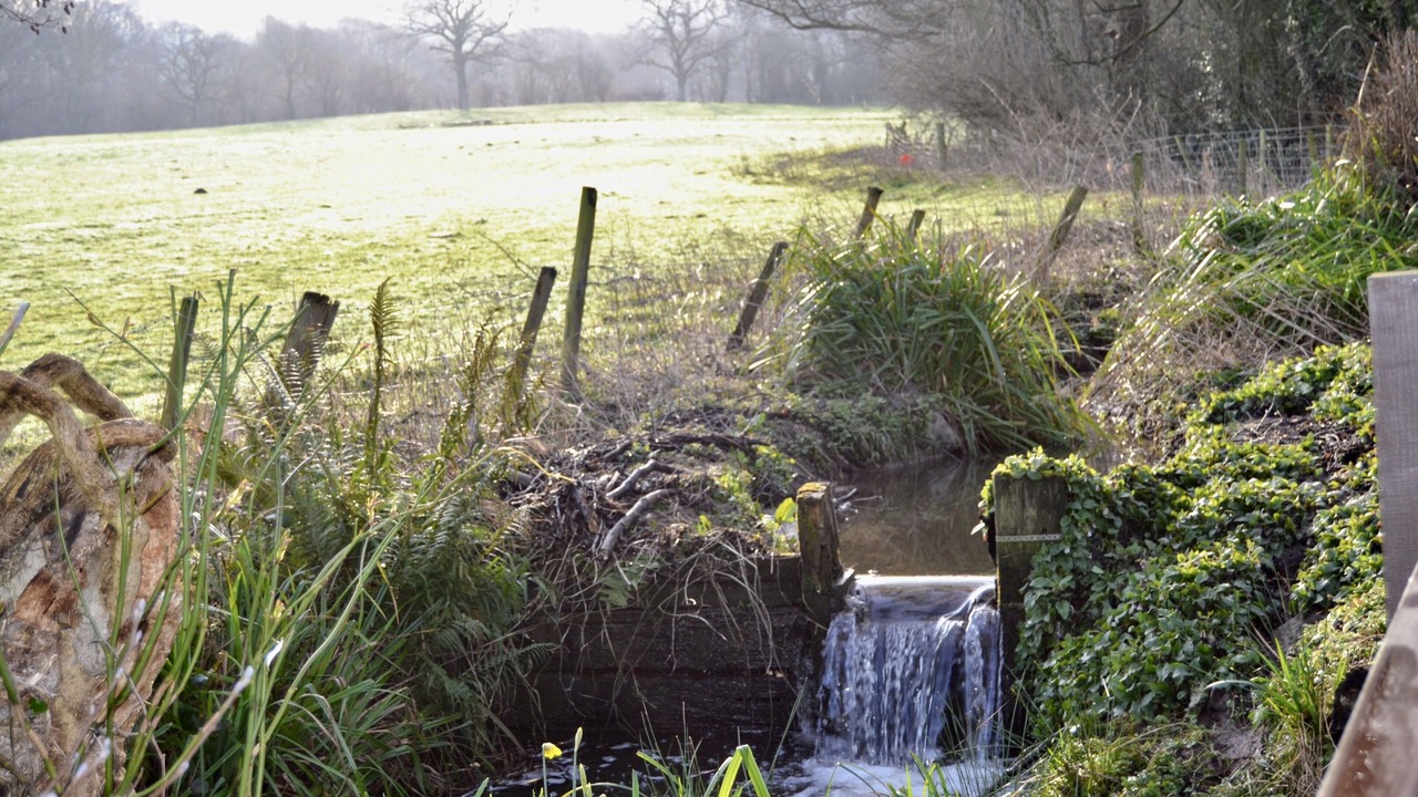 Photo of Outdoor in Kington