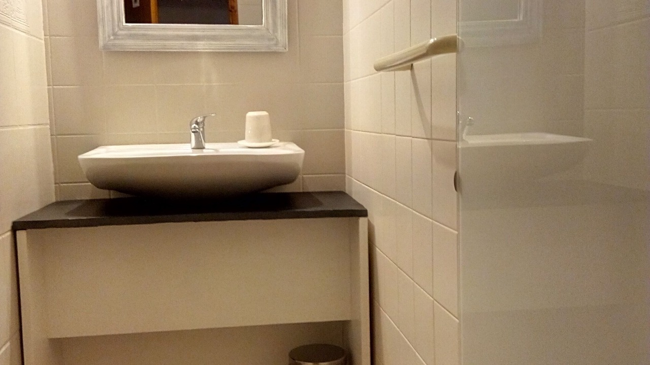 Photo of Bathroom in Loubajac