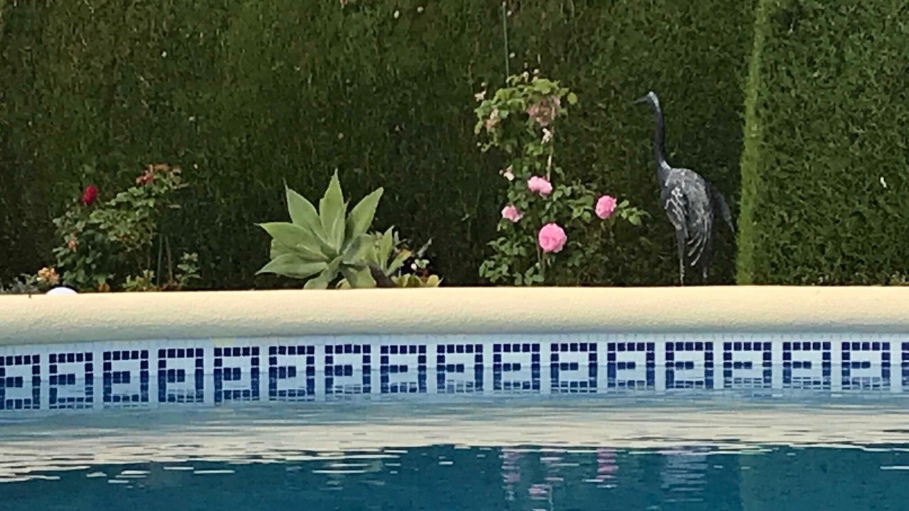 Photo of Outdoor in Denia