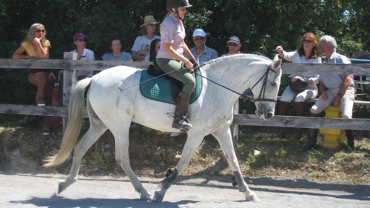 Photo of Others in Orthoux-Serignac-Quilhan