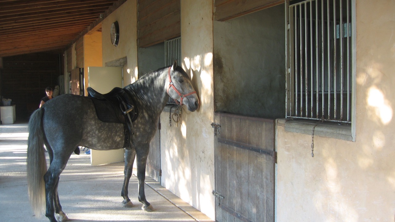Photo of Others in Orthoux-Serignac-Quilhan