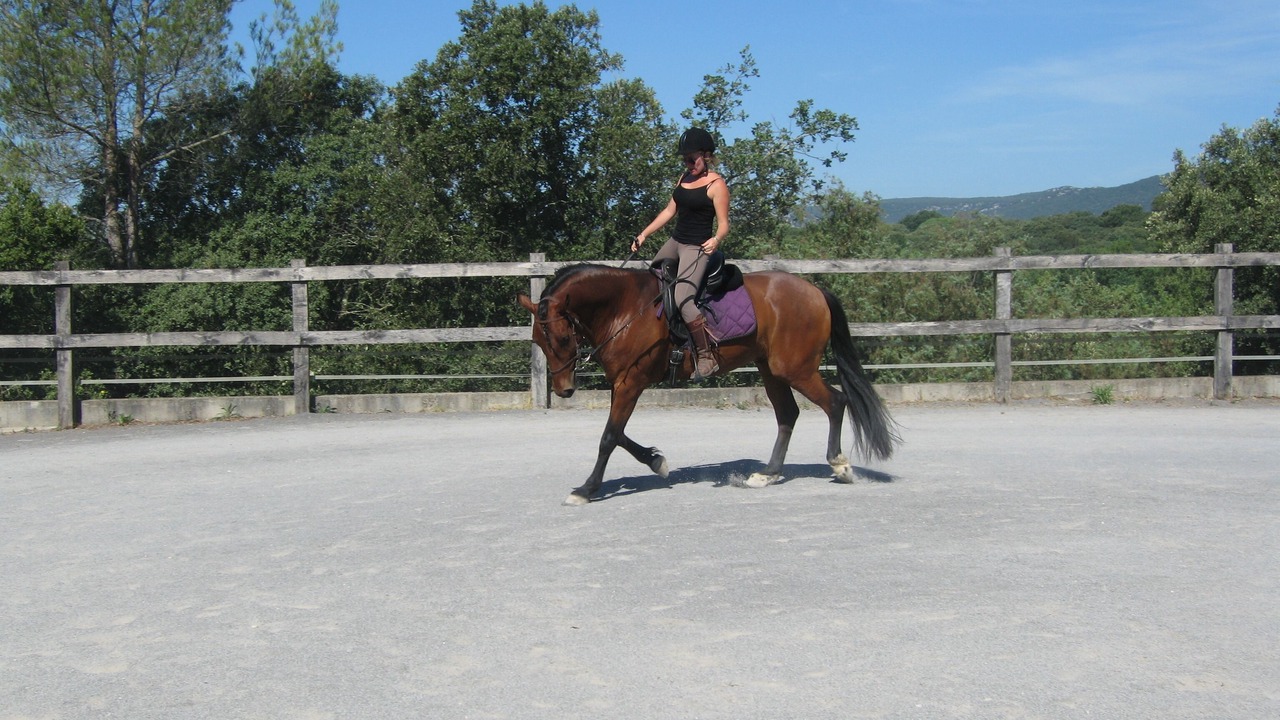 Photo of Others in Orthoux-Serignac-Quilhan