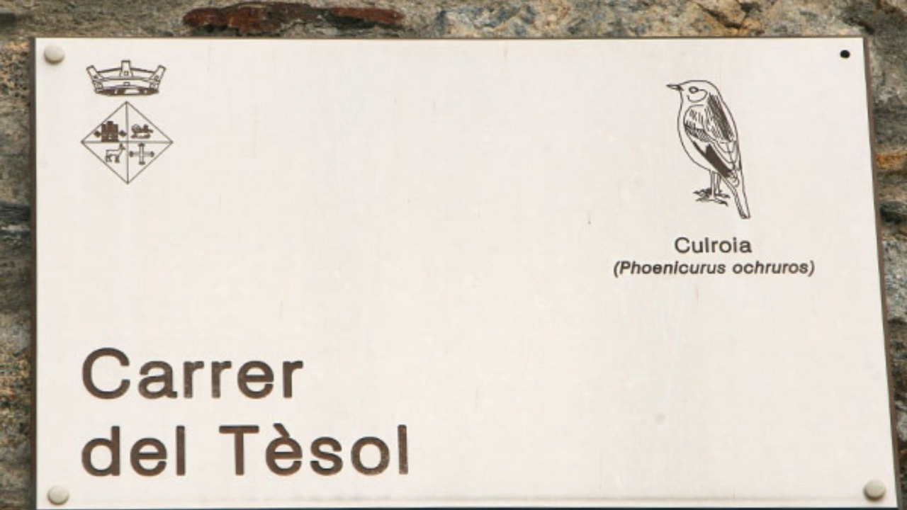 Photo of Others in Esterri D'Aneu