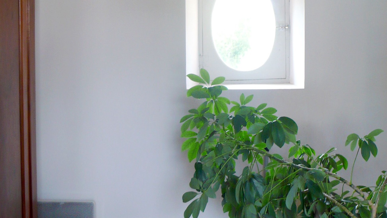 Photo of Others in Montgivray