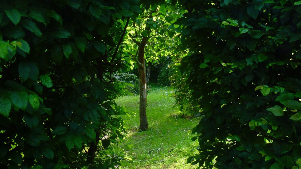 Photo of Outdoor in Montgivray