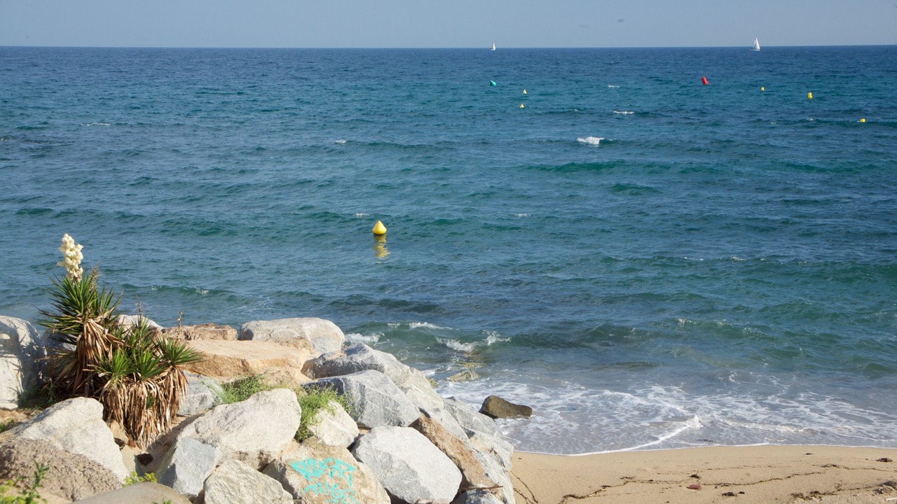 Photo of Others in Vilassar de Mar