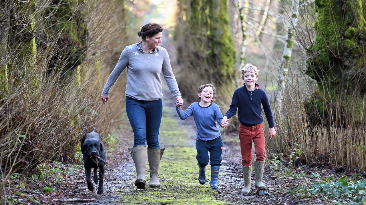 Photo of Outdoor in Saltash