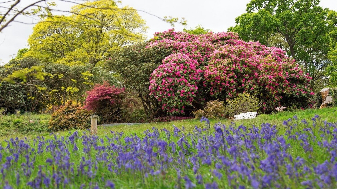 Photo of Outdoor in Saltash
