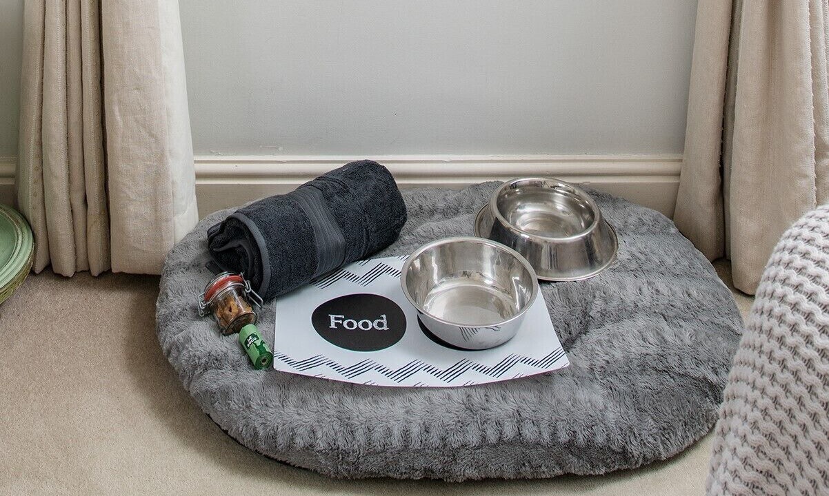 Photo of Others in Saltash