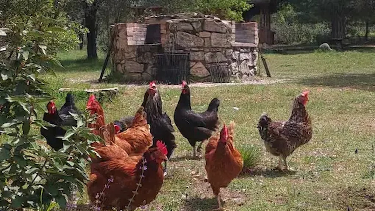 Photo of Outdoor in Canamares