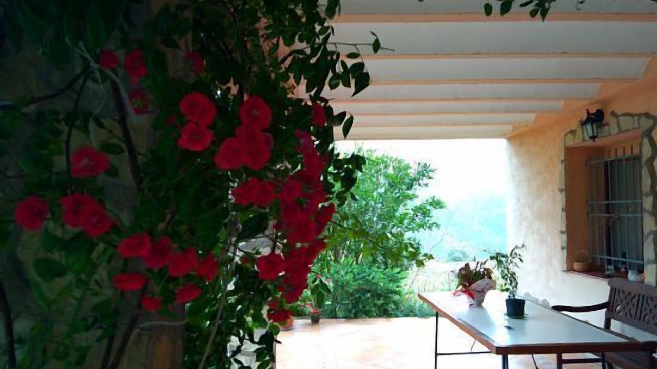 Photo of Outdoor in La Vall de Laguar