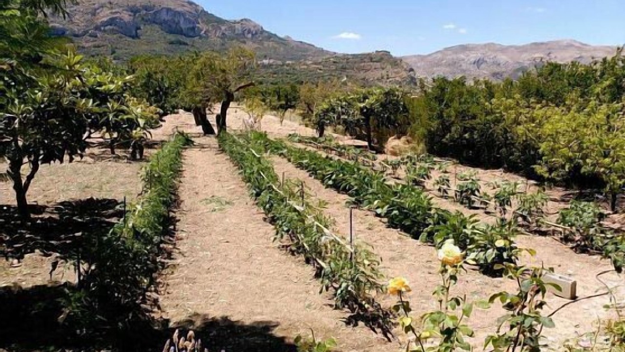 Photo of Outdoor in La Vall de Laguar