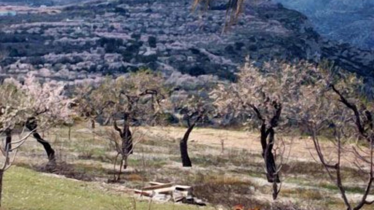 Photo of Outdoor in La Vall de Laguar
