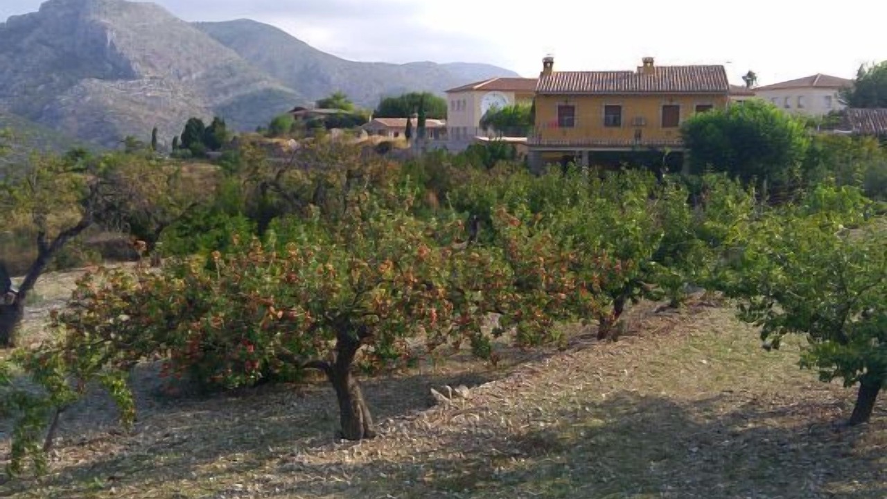 Photo of Outdoor in La Vall de Laguar