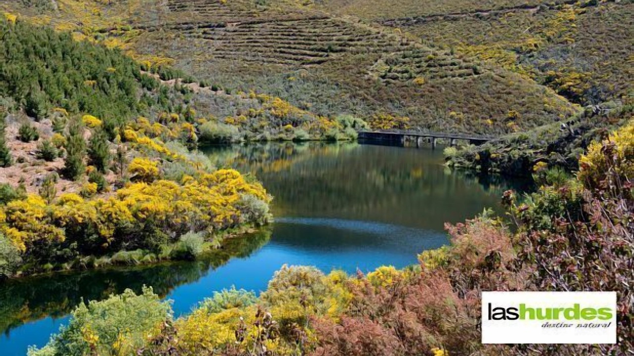 Photo of Outdoor in Pinofranqueado
