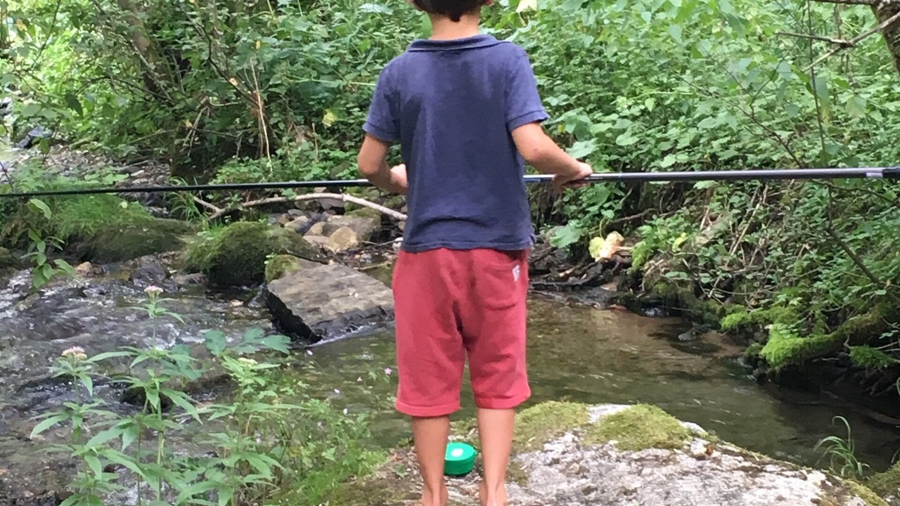 Photo of Outdoor in Cathervielle