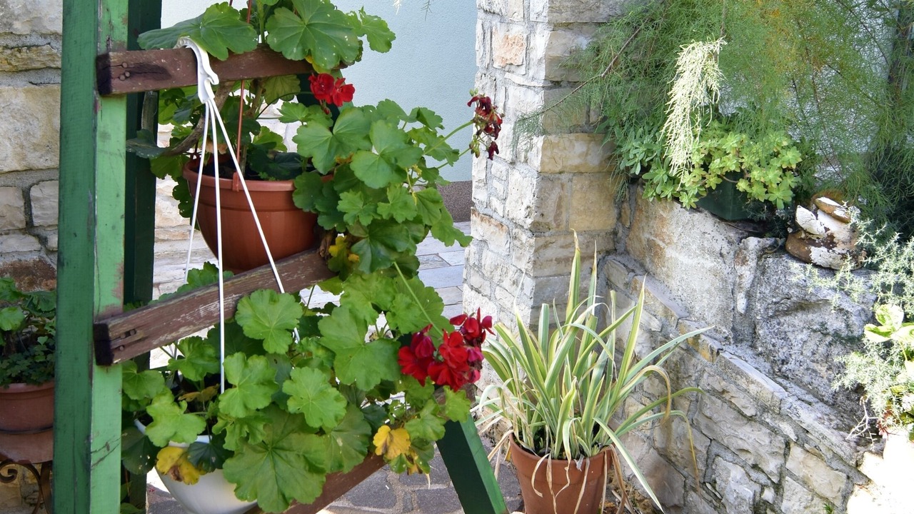 Photo of Outdoor in Umag