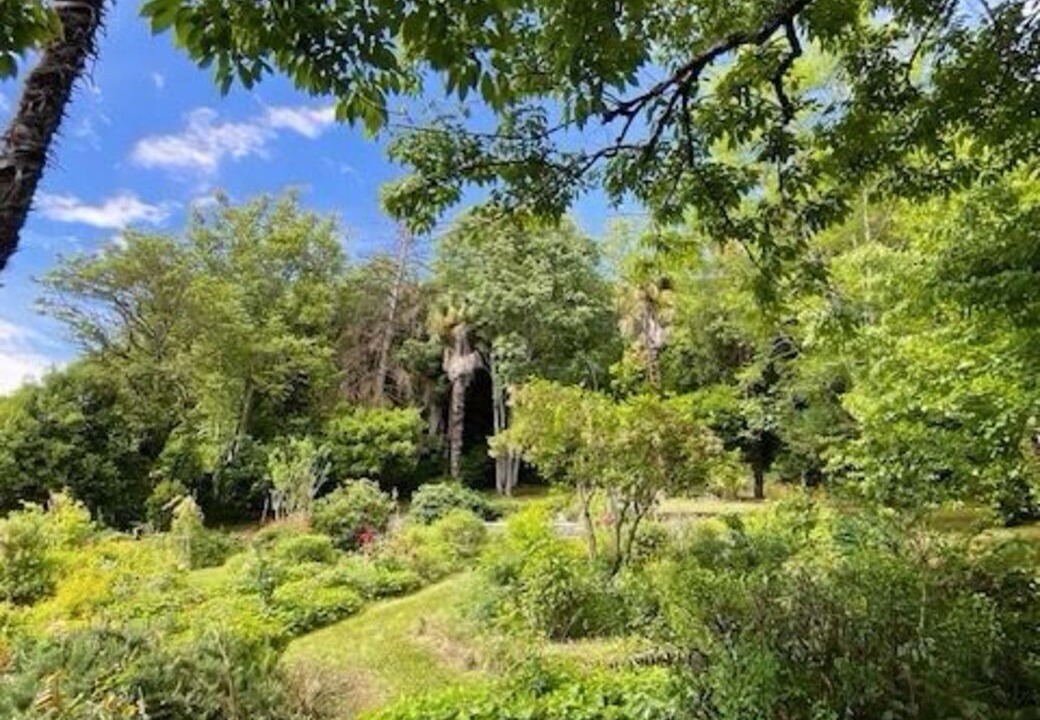 Photo of Outdoor in Riberac