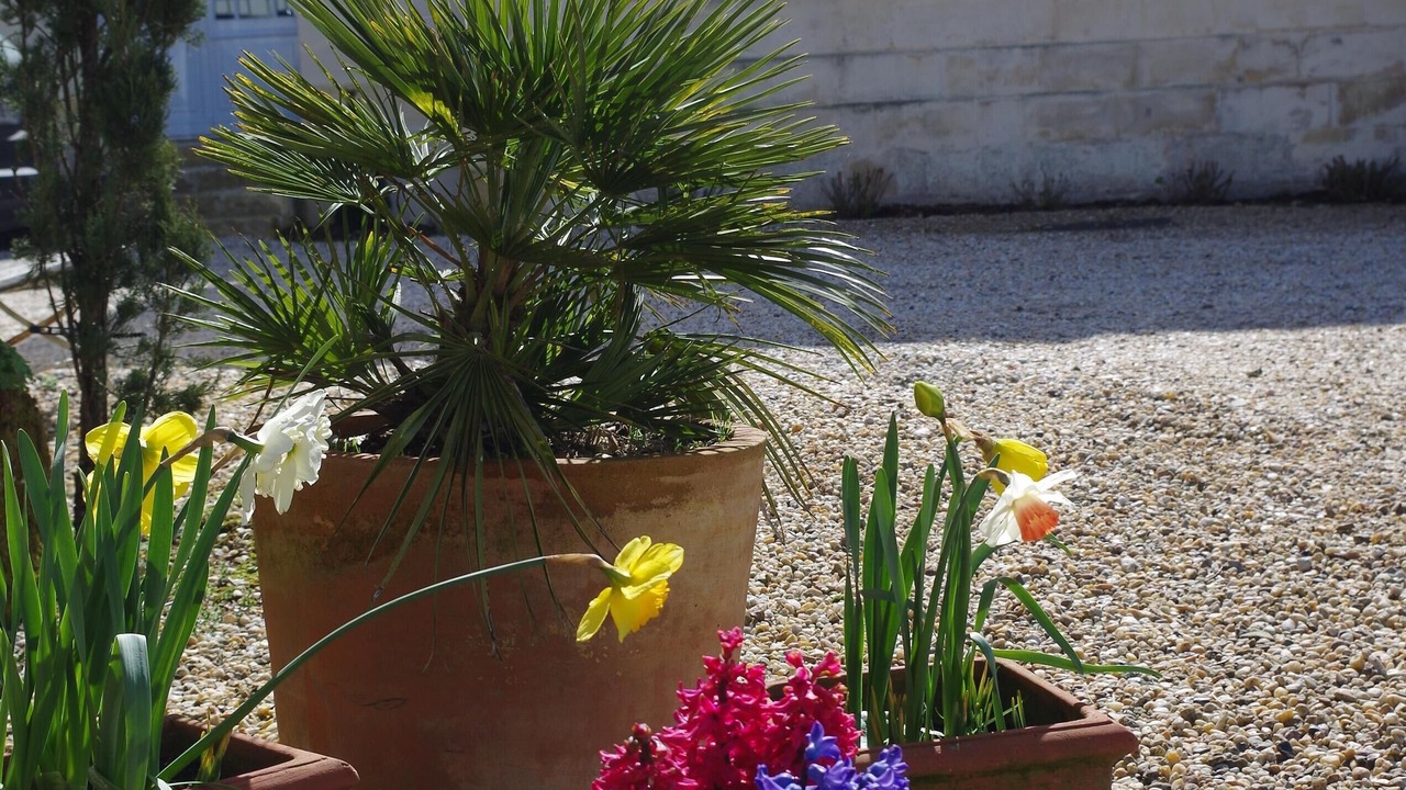 Photo of Outdoor in Neac